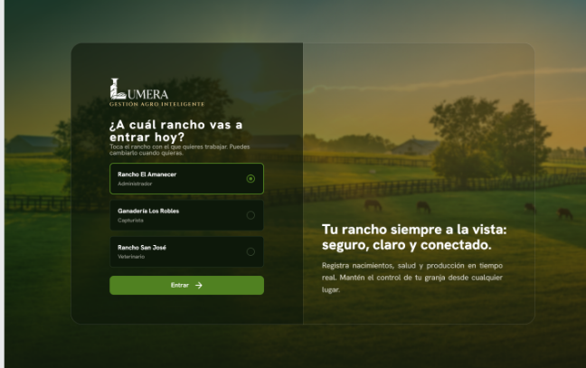 Lumera: Dashboard